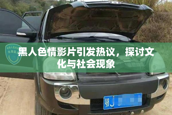 黑人色情影片引发热议，探讨文化与社会现象