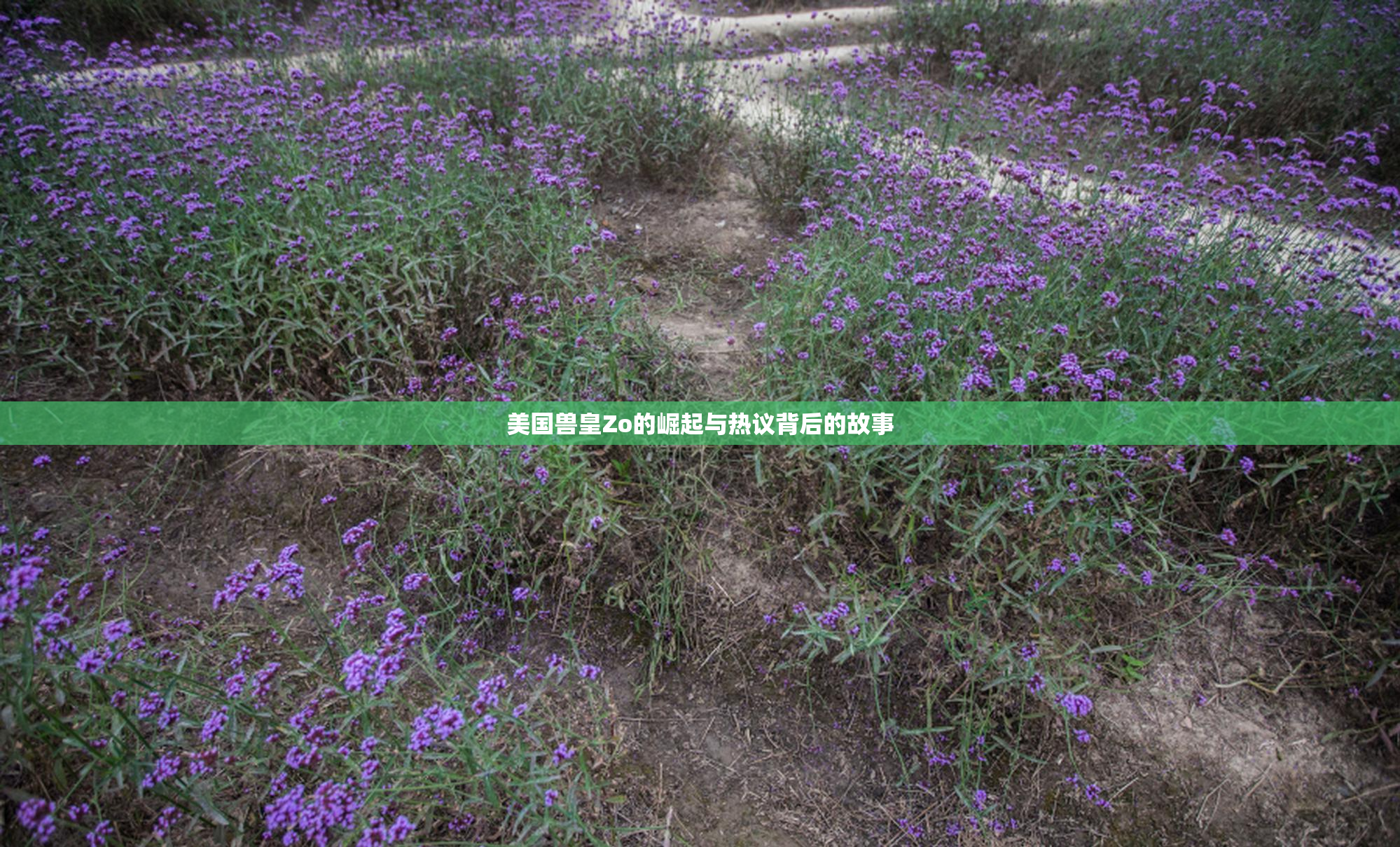美国兽皇Zo的崛起与热议背后的故事