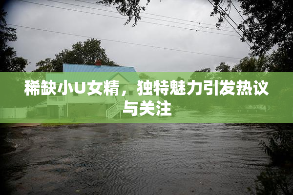 稀缺小U女精，独特魅力引发热议与关注