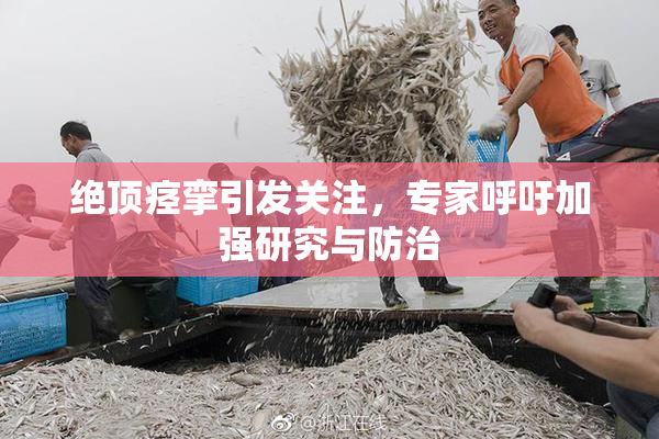 绝顶痉挛引发关注，专家呼吁加强研究与防治