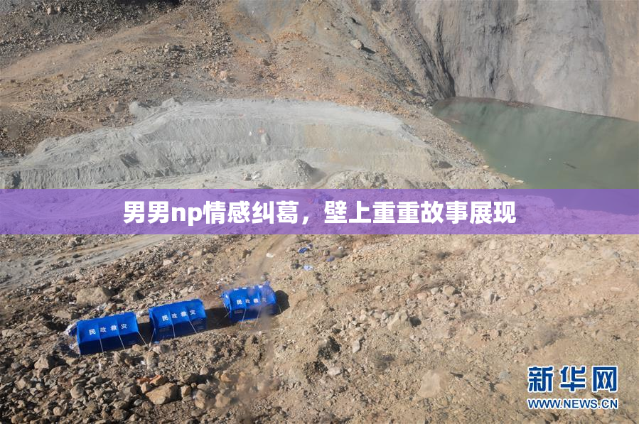 男男np情感纠葛，壁上重重故事展现