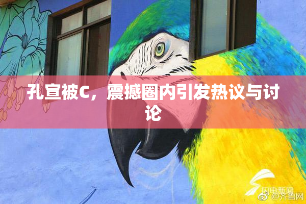 孔宣被C，震撼圈内引发热议与讨论