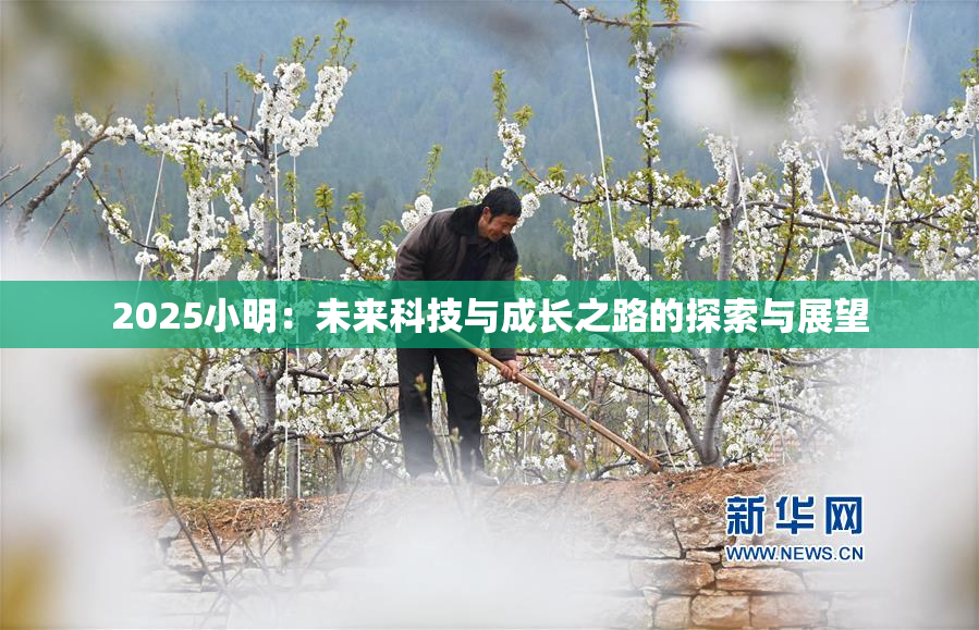 2025小明：未来科技与成长之路的探索与展望