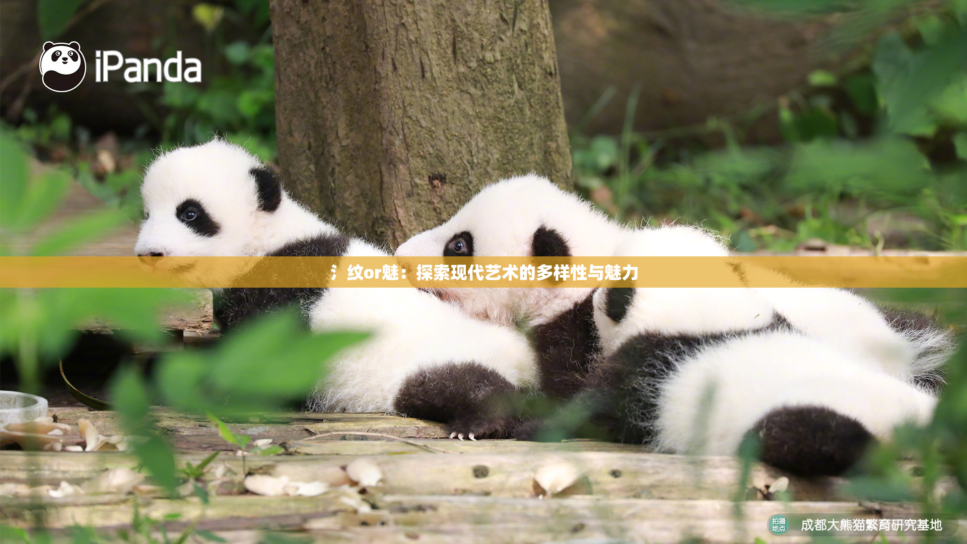 氵纹or魅：探索现代艺术的多样性与魅力