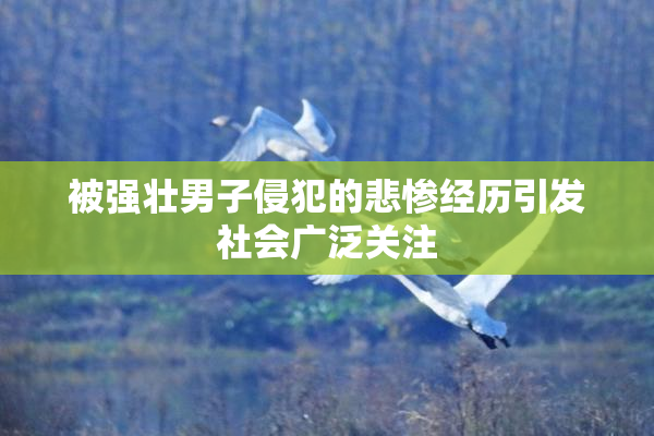 被强壮男子侵犯的悲惨经历引发社会广泛关注