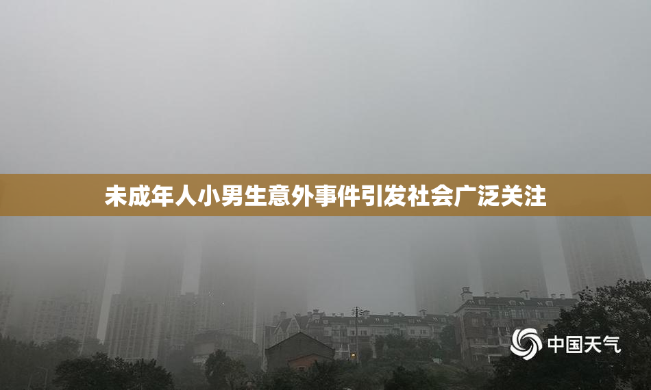 未成年人小男生意外事件引发社会广泛关注