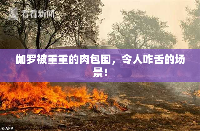 伽罗被重重的肉包围，令人咋舌的场景！