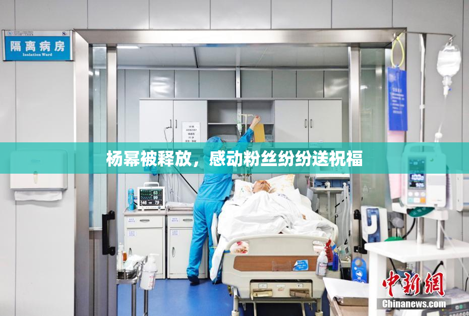 杨幂被释放，感动粉丝纷纷送祝福