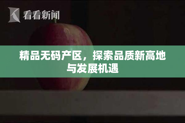 精品无码产区，探索品质新高地与发展机遇