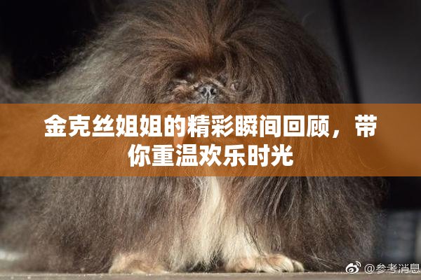 金克丝姐姐的精彩瞬间回顾，带你重温欢乐时光