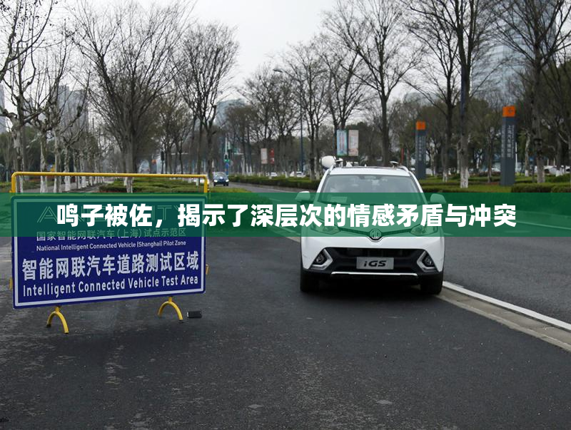 鸣子被佐，揭示了深层次的情感矛盾与冲突