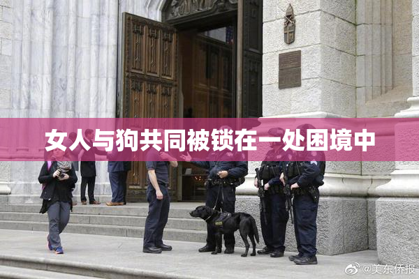 女人与狗共同被锁在一处困境中