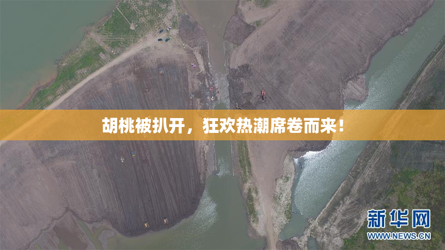 胡桃被扒开，狂欢热潮席卷而来！