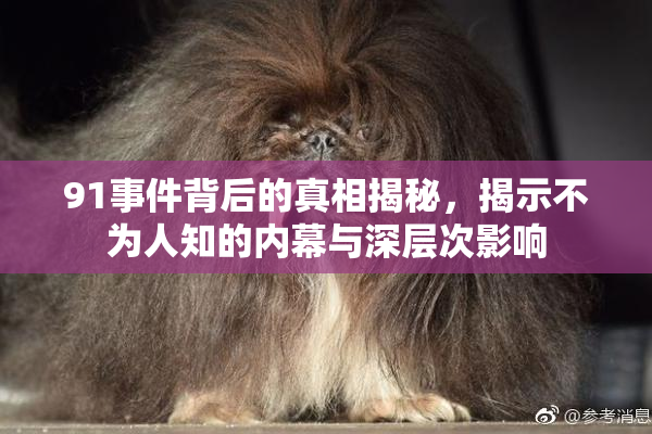 91事件背后的真相揭秘，揭示不为人知的内幕与深层次影响