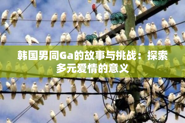 韩国男同Ga的故事与挑战：探索多元爱情的意义