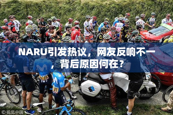 NARU引发热议，网友反响不一，背后原因何在？