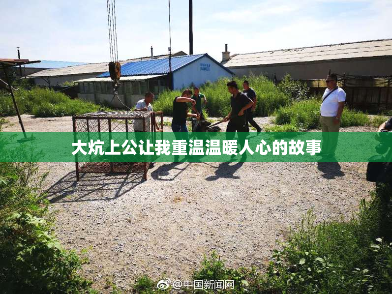 大炕上公让我重温温暖人心的故事