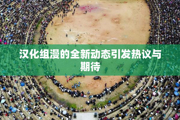 汉化组漫的全新动态引发热议与期待
