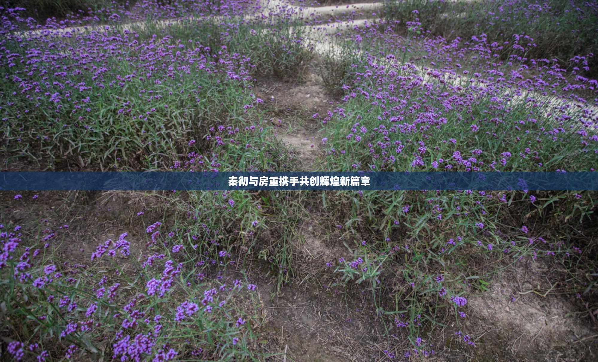 秦彻与房重携手共创辉煌新篇章