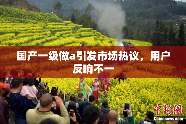 国产一级做a引发市场热议，用户反响不一