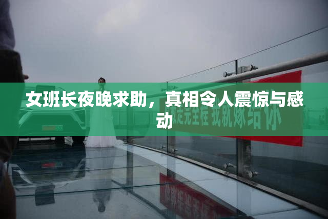 女班长夜晚求助，真相令人震惊与感动
