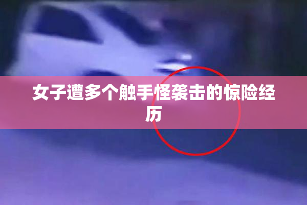 女子遭多个触手怪袭击的惊险经历