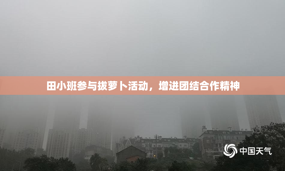 田小班参与拔萝卜活动，增进团结合作精神