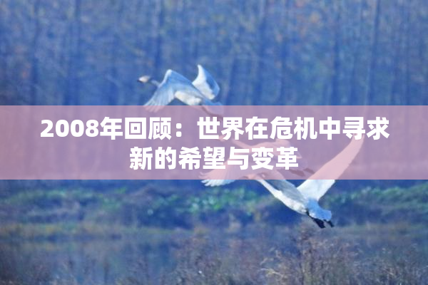 2008年回顾：世界在危机中寻求新的希望与变革