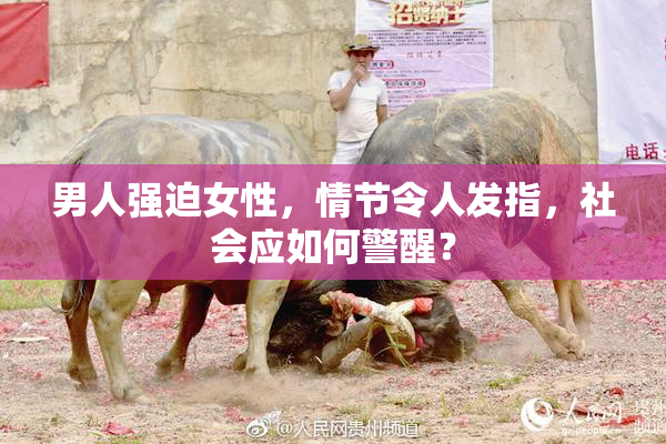 男人强迫女性，情节令人发指，社会应如何警醒？