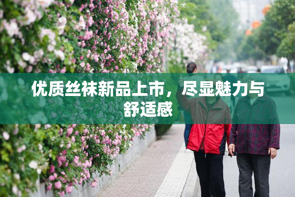 优质丝袜新品上市，尽显魅力与舒适感