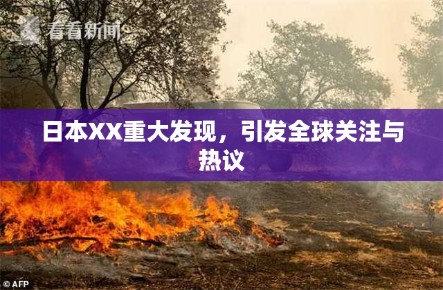 日本XX重大发现，引发全球关注与热议