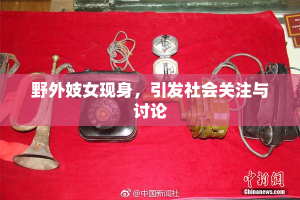 野外妓女现身，引发社会关注与讨论