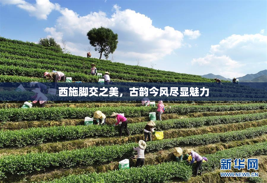 西施脚交之美，古韵今风尽显魅力