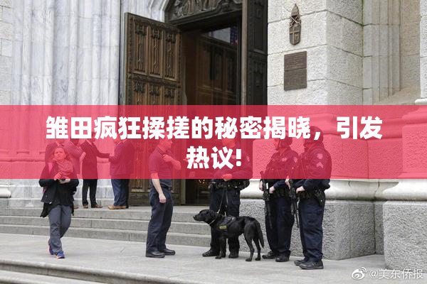 雏田疯狂揉搓的秘密揭晓，引发热议!